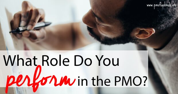 What Role Do You Perform in the PMO?