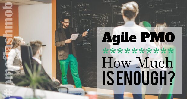 Agile PMO – How Much is Enough?