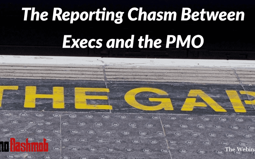 The Reporting Chasm Between Execs and the PMO