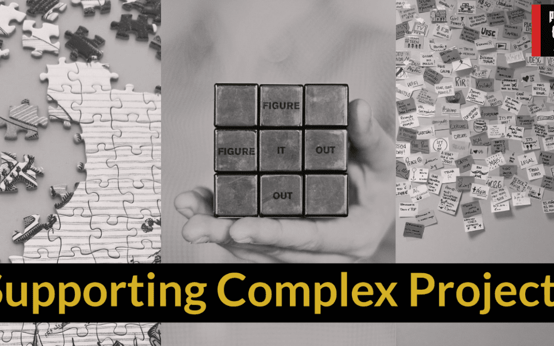 Supporting Complex Projects