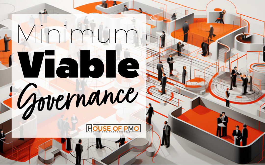 Minimum Viable Governance