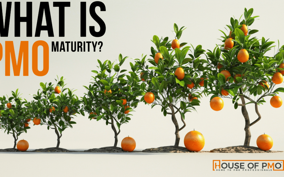 What is PMO Maturity?
