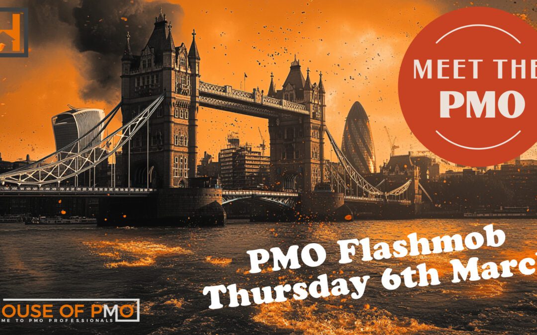 Meet the PMO \\ PMO Flashmob – London