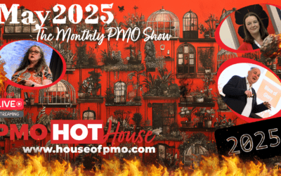 Space Rockets, Portfolio Management and a Dash of AI  / PMO HotHouse May 2025