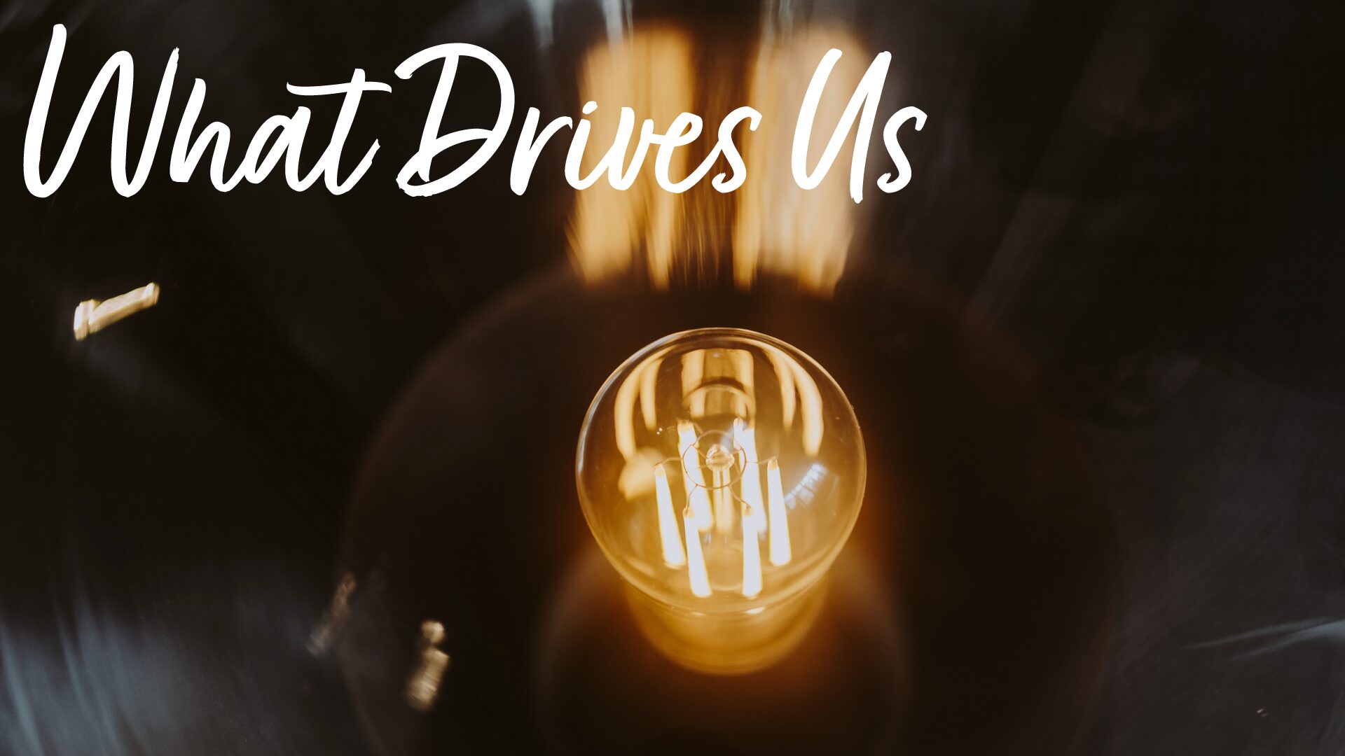 What-drives-us
