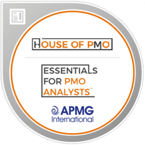 2-Hour Coaching Session – Essentials for PMO Analysts