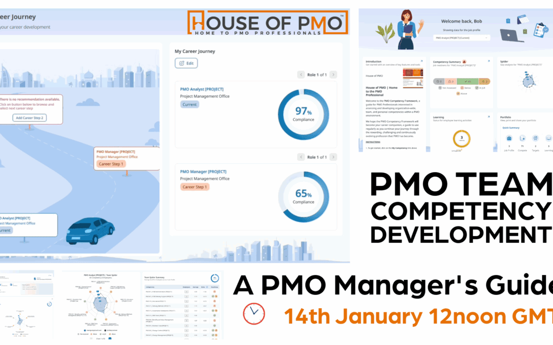 PMO Team Competency Development