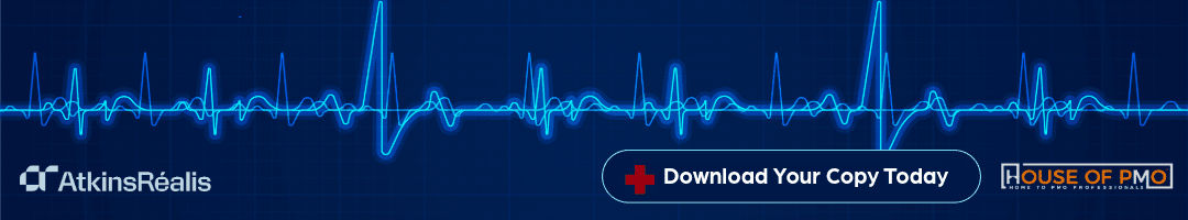 Blue Light PMO Summit Report