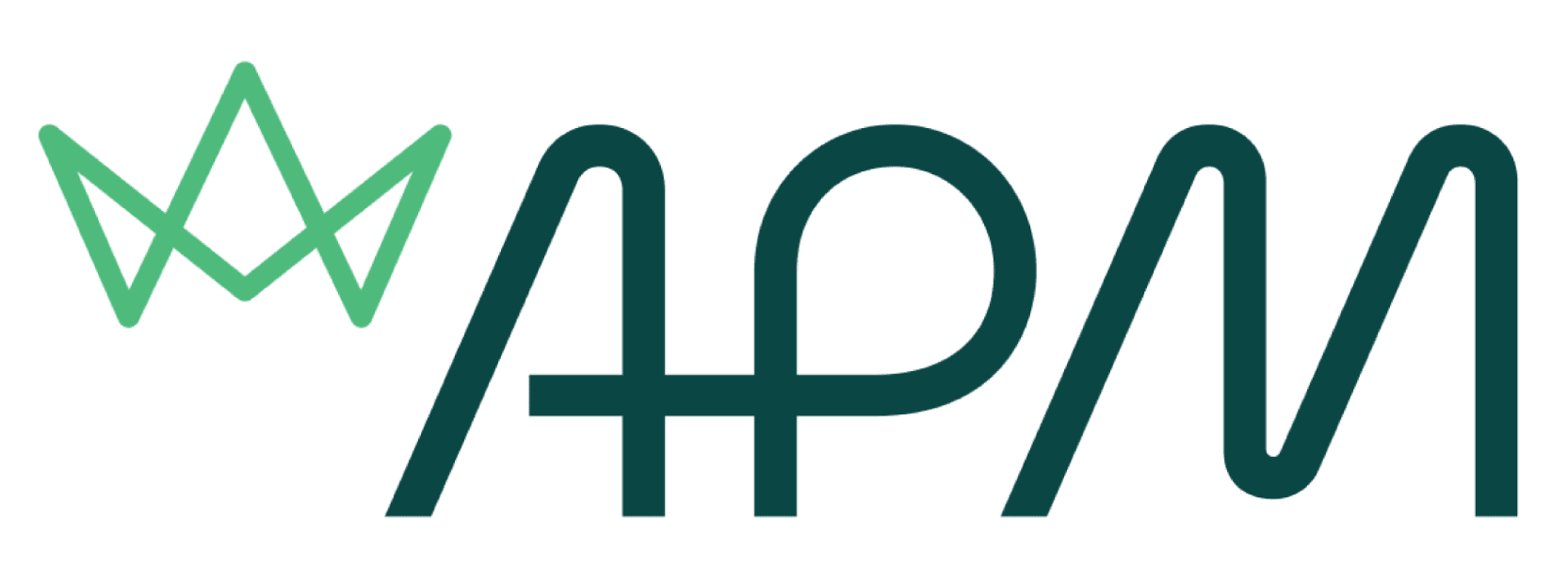 APM-Logo